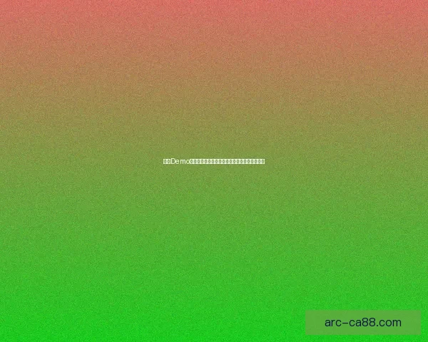 基于Demo播放器的多功能开发与应用探索及技术创新分析